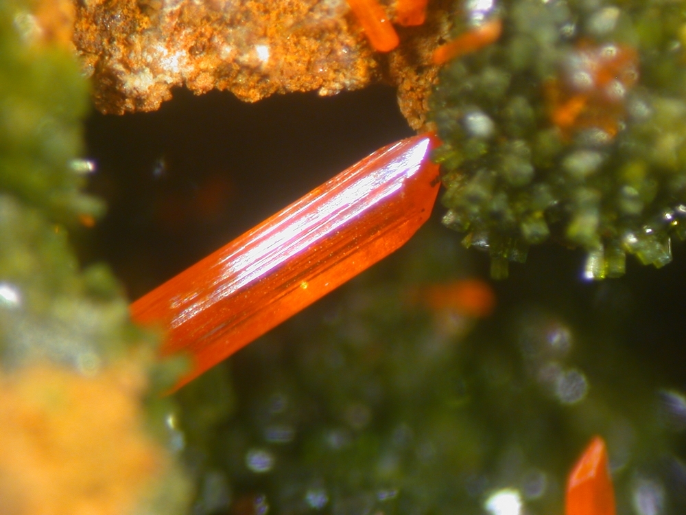 Crocoite & Pyromorphite