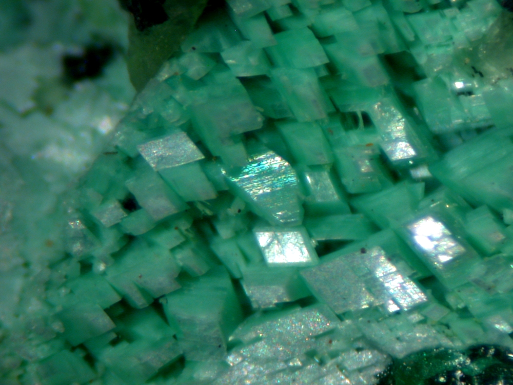 Hellyerite