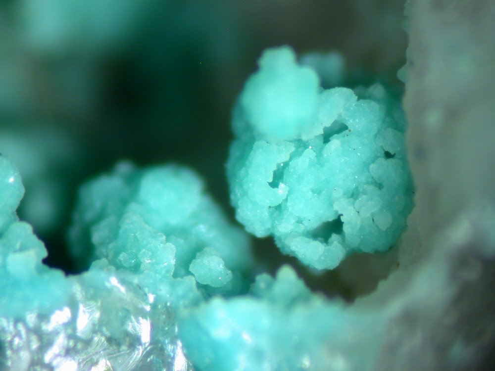 Turquoise
