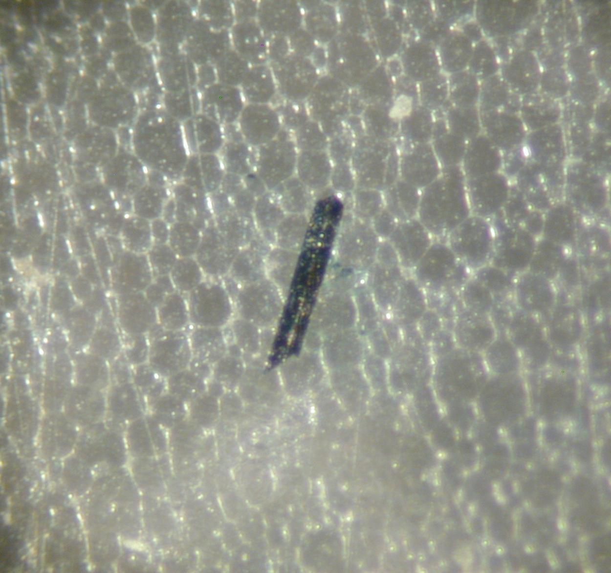 Allabogdanite
