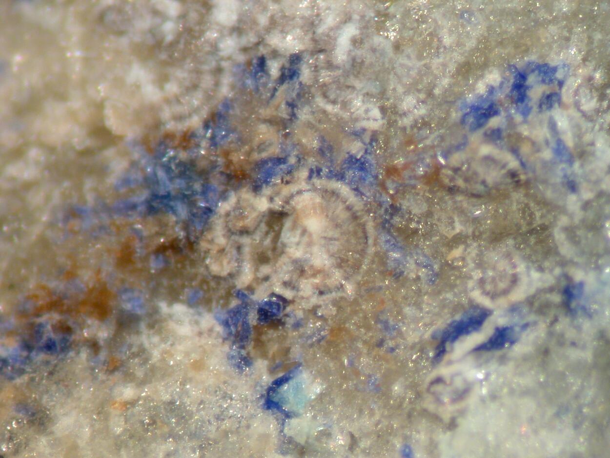 Wayneburnhamite & Stringhamite