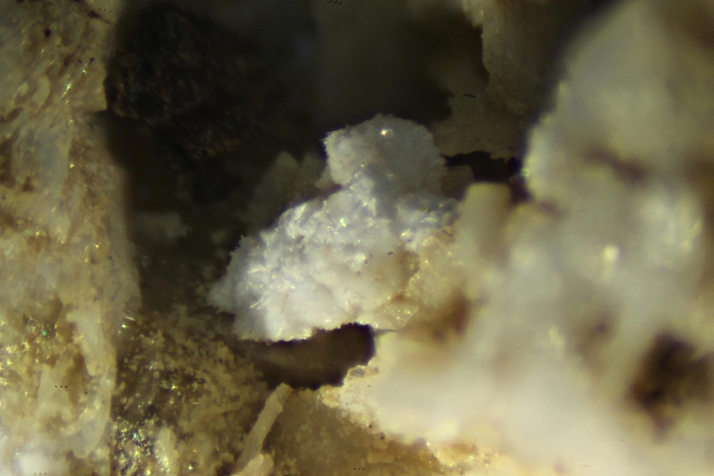 Hochelagaite & Sabinaite