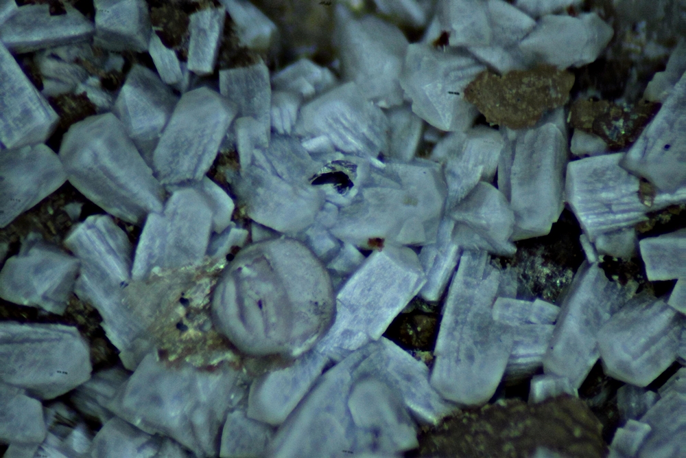 Behoite Gonnardite & Polylithionite