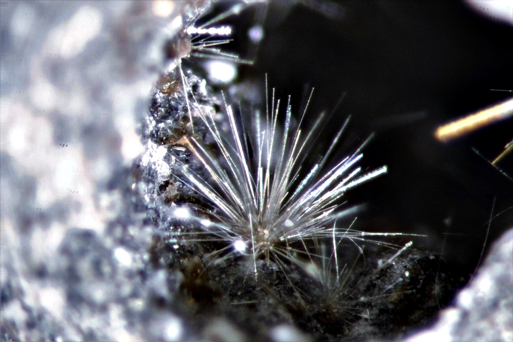Magnesio-hastingsite