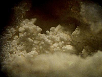 Matulaite
