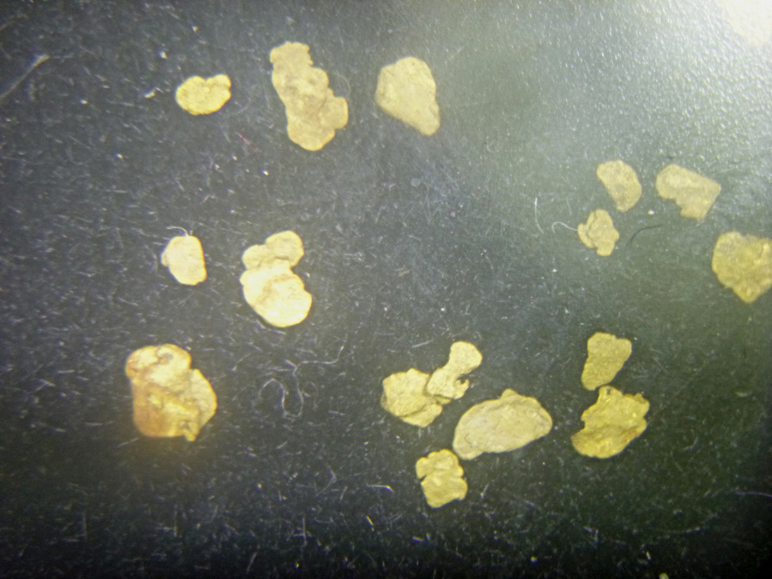 Gold