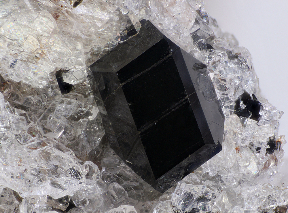 Ferro-katophorite
