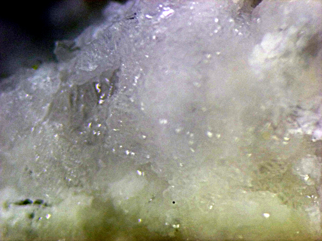 Švenekite