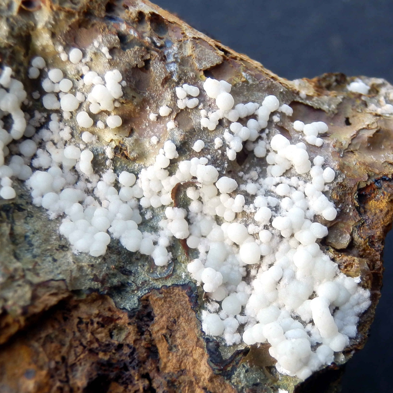 Hydroxylapatite & Fluorapatite