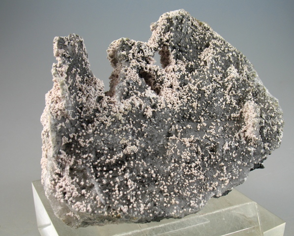 Koninckite