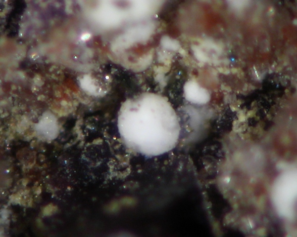 Uranotungstite Gearksutite & Lenoblite
