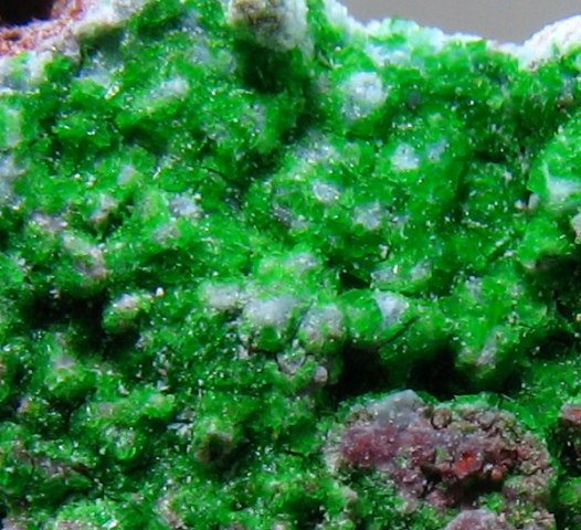 Fedotovite