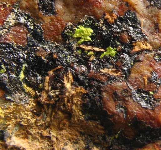 Moctezumite Schmitterite & Emmonsite