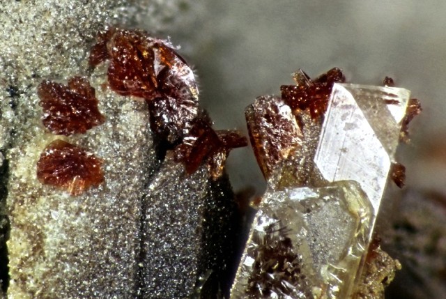 Lotharmeyerite & Manganoan Adamite