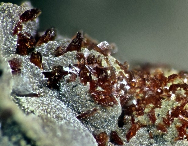 Lotharmeyerite & Manganoan Adamite