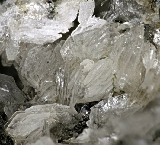 Umbite & Shcherbakovite