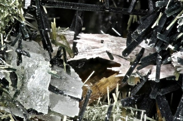 Umbite & Shcherbakovite
