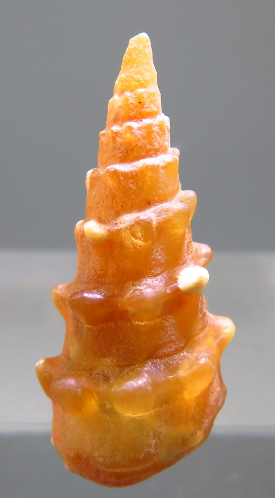 Mogánite Psm Calcite
