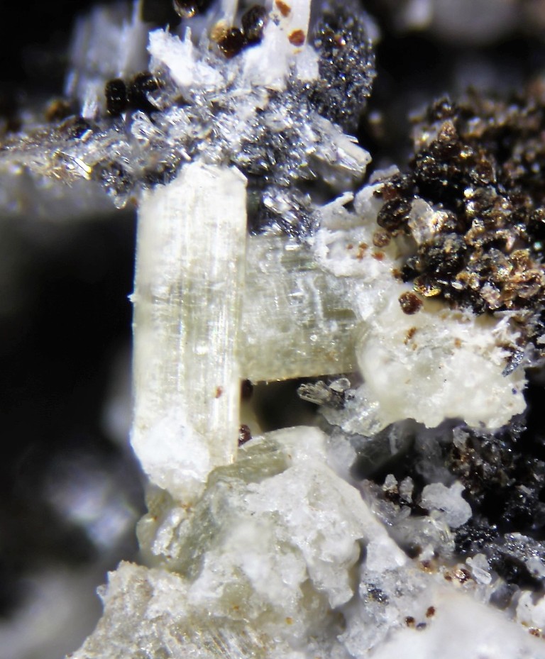 Burbankite