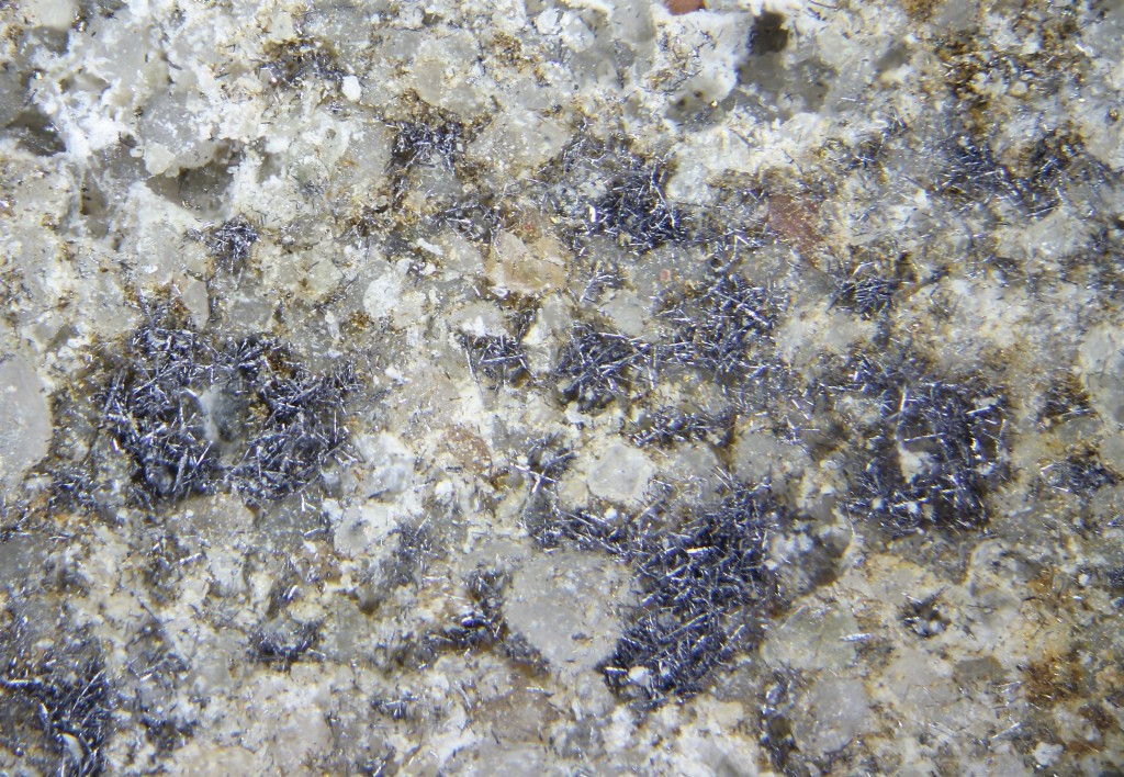 Selenium
