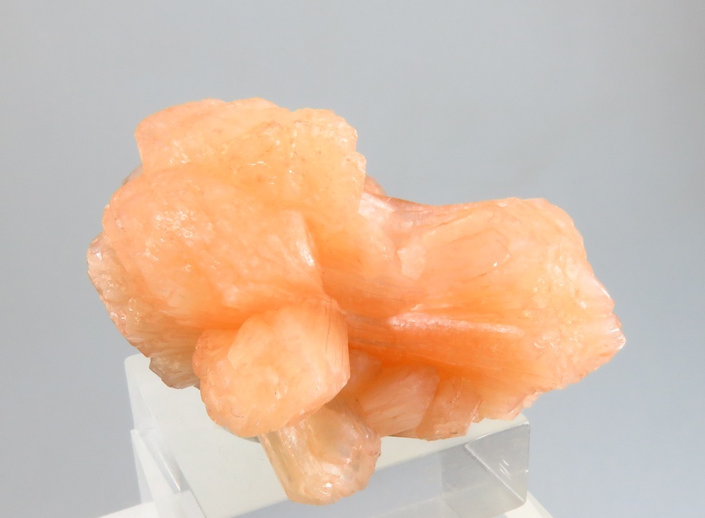 Stellerite