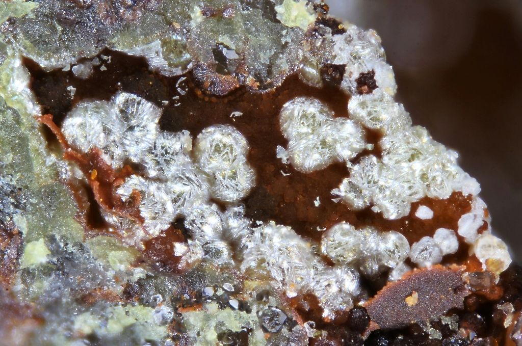 Philipsbornite