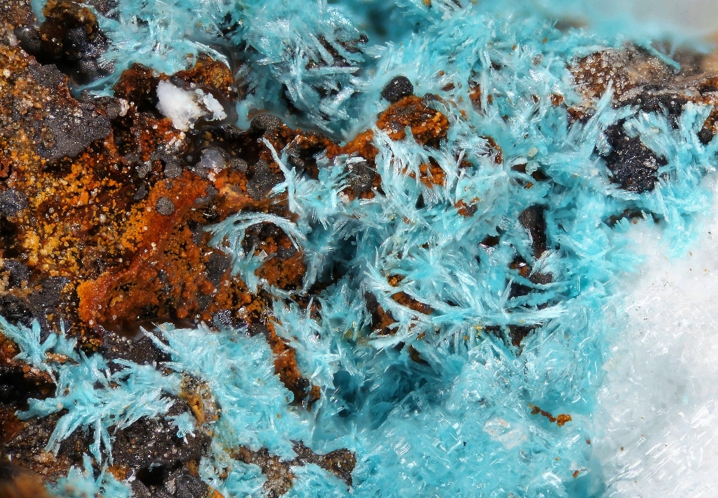 Kapellasite