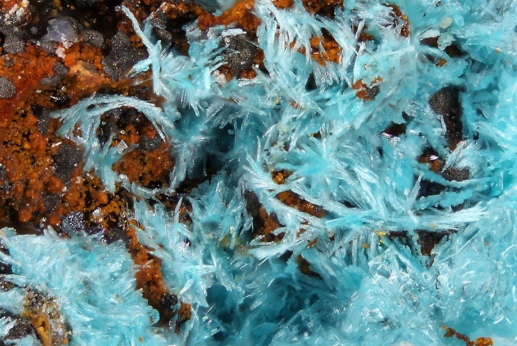 Kapellasite