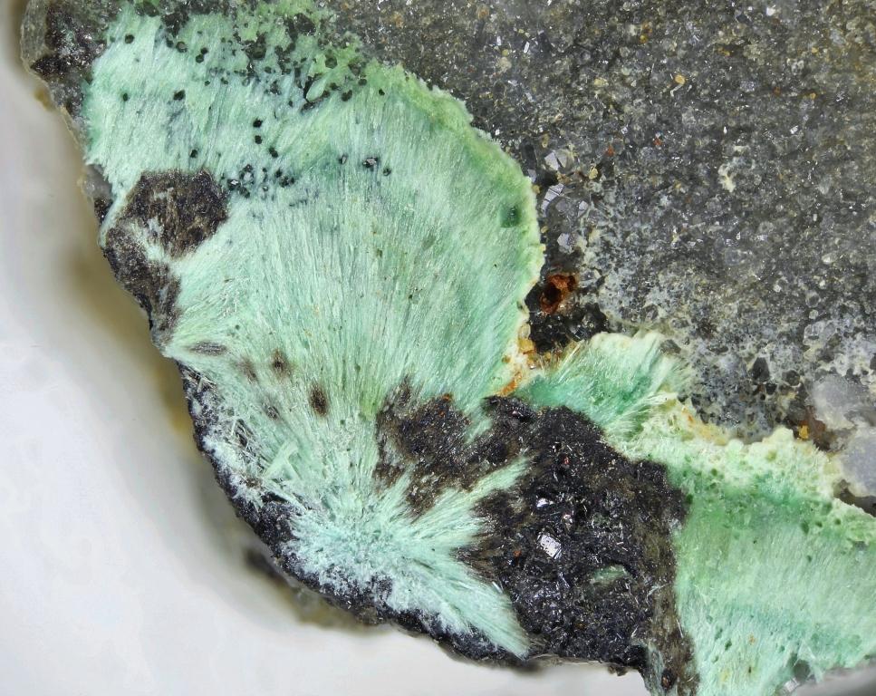 Plumboagardite