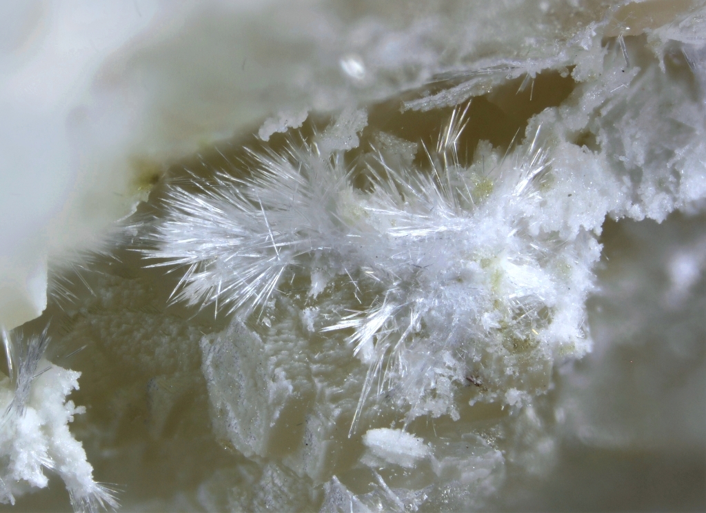 Kasatkinite