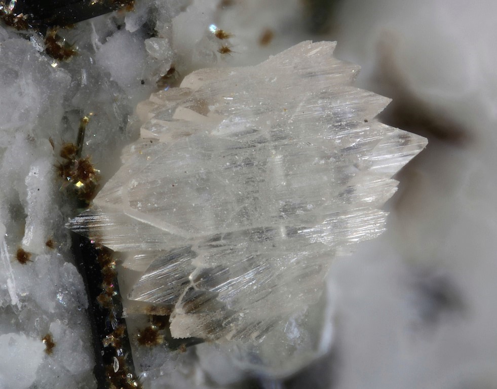 Lovdarite