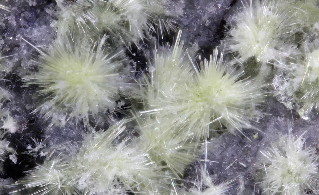 Adranosite-(Fe)