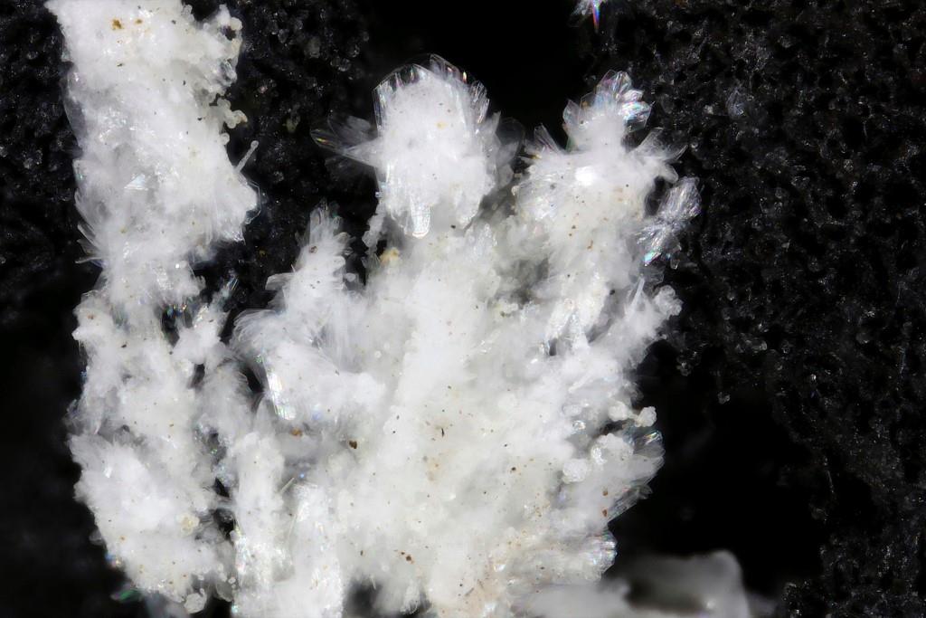Penriceite Tomsquarryite & Elliottite