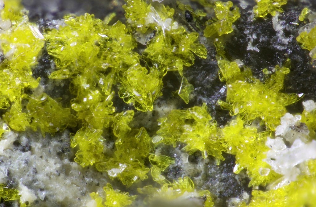 Ammoniozippeite