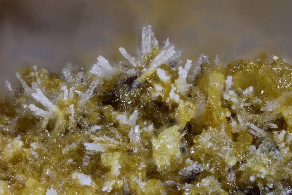 Rhabdoborite-(W)