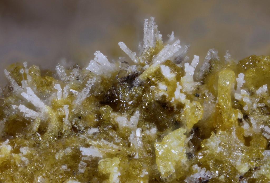 Rhabdoborite-(W)