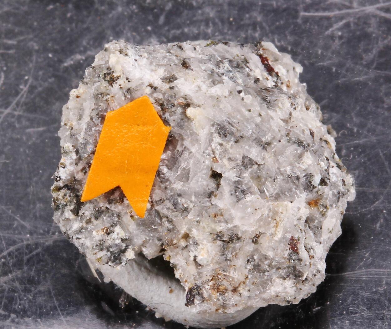Farneseite