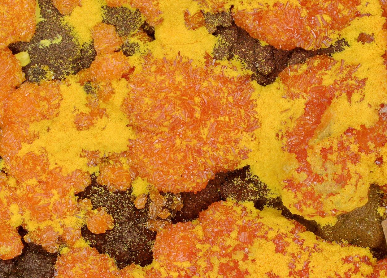 Chervetite Francevillite Curienite & Mounanaite