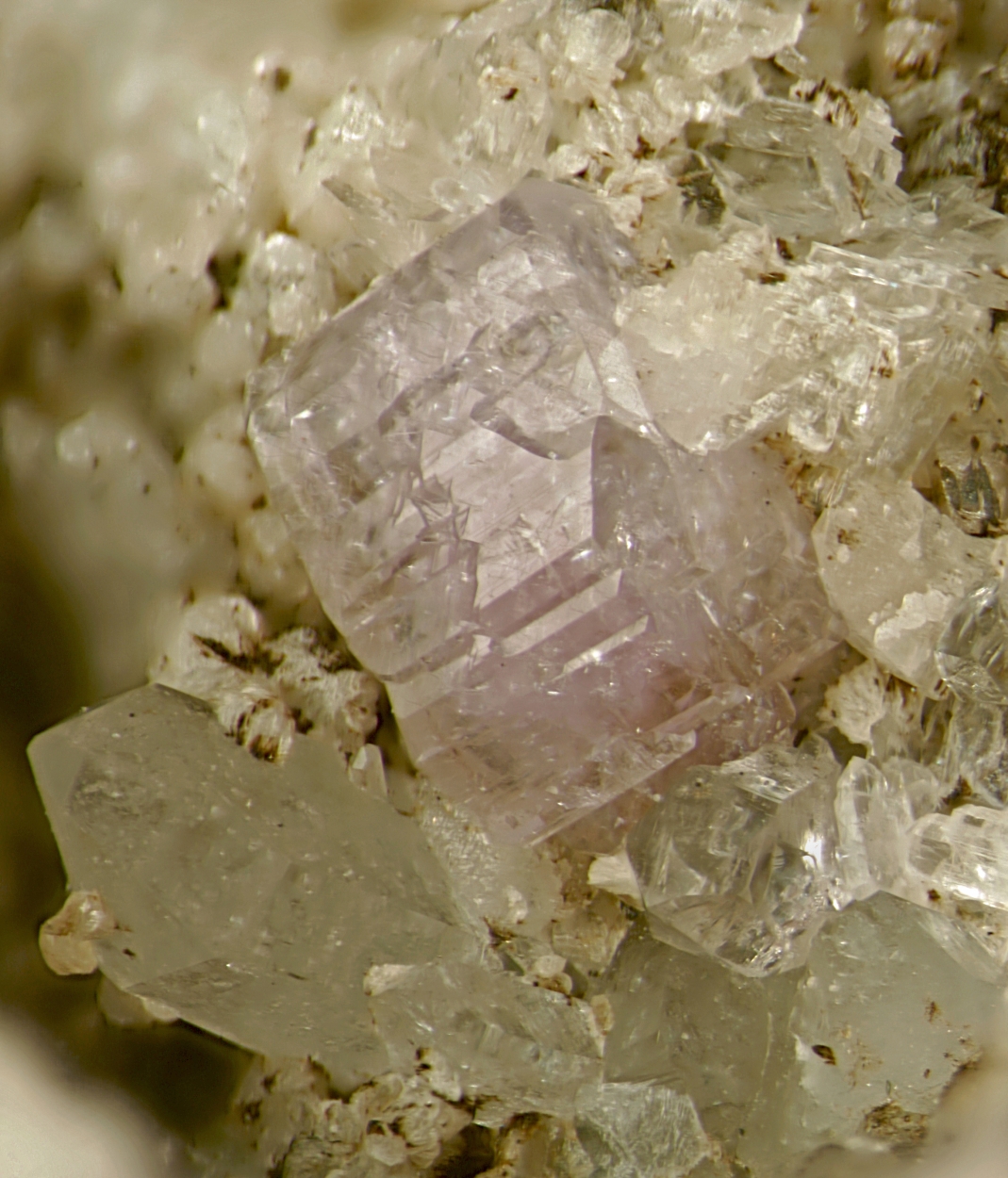 Fluorapatite
