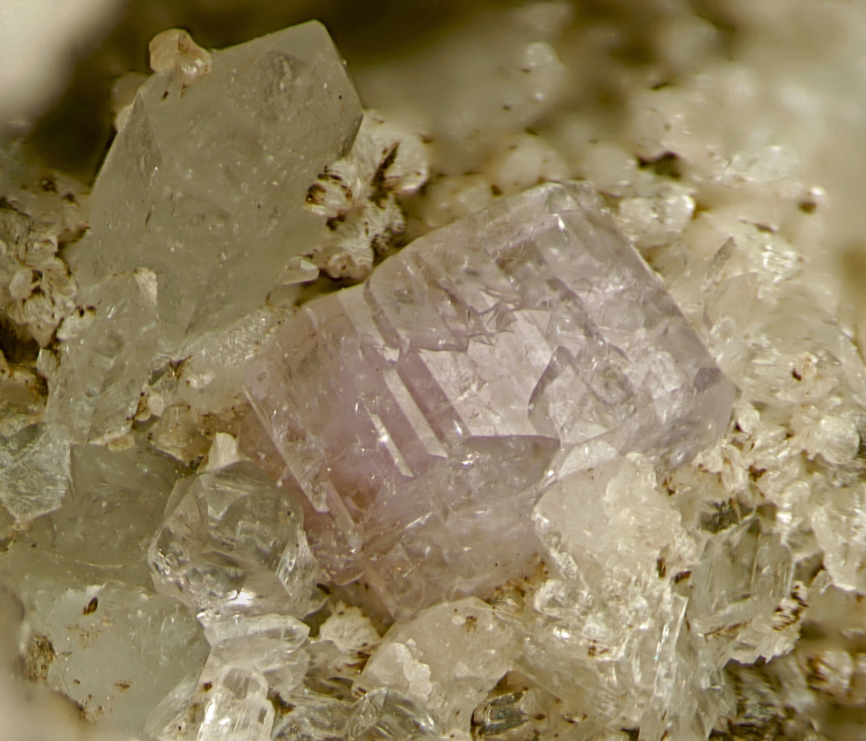 Fluorapatite