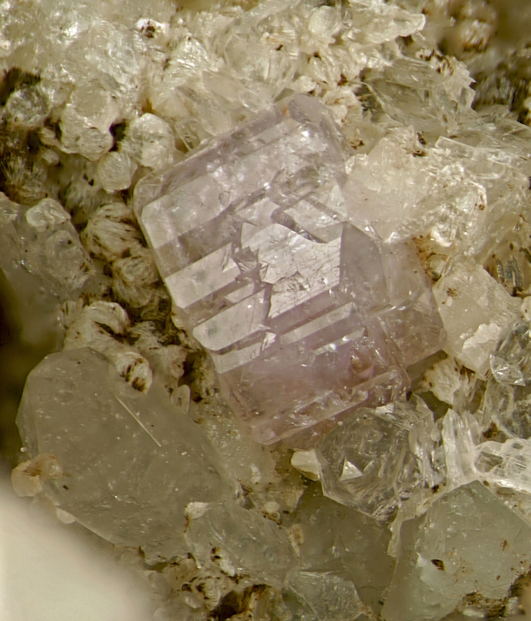 Fluorapatite