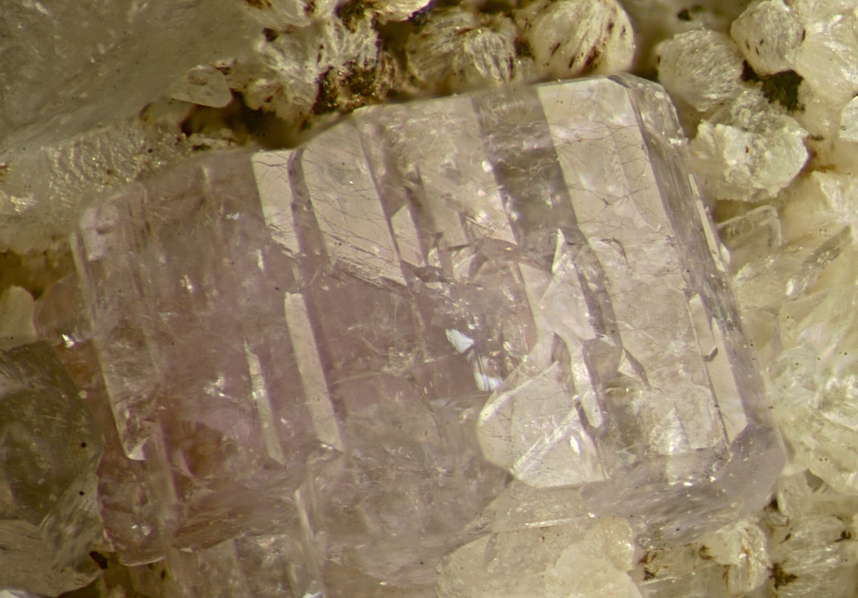 Fluorapatite