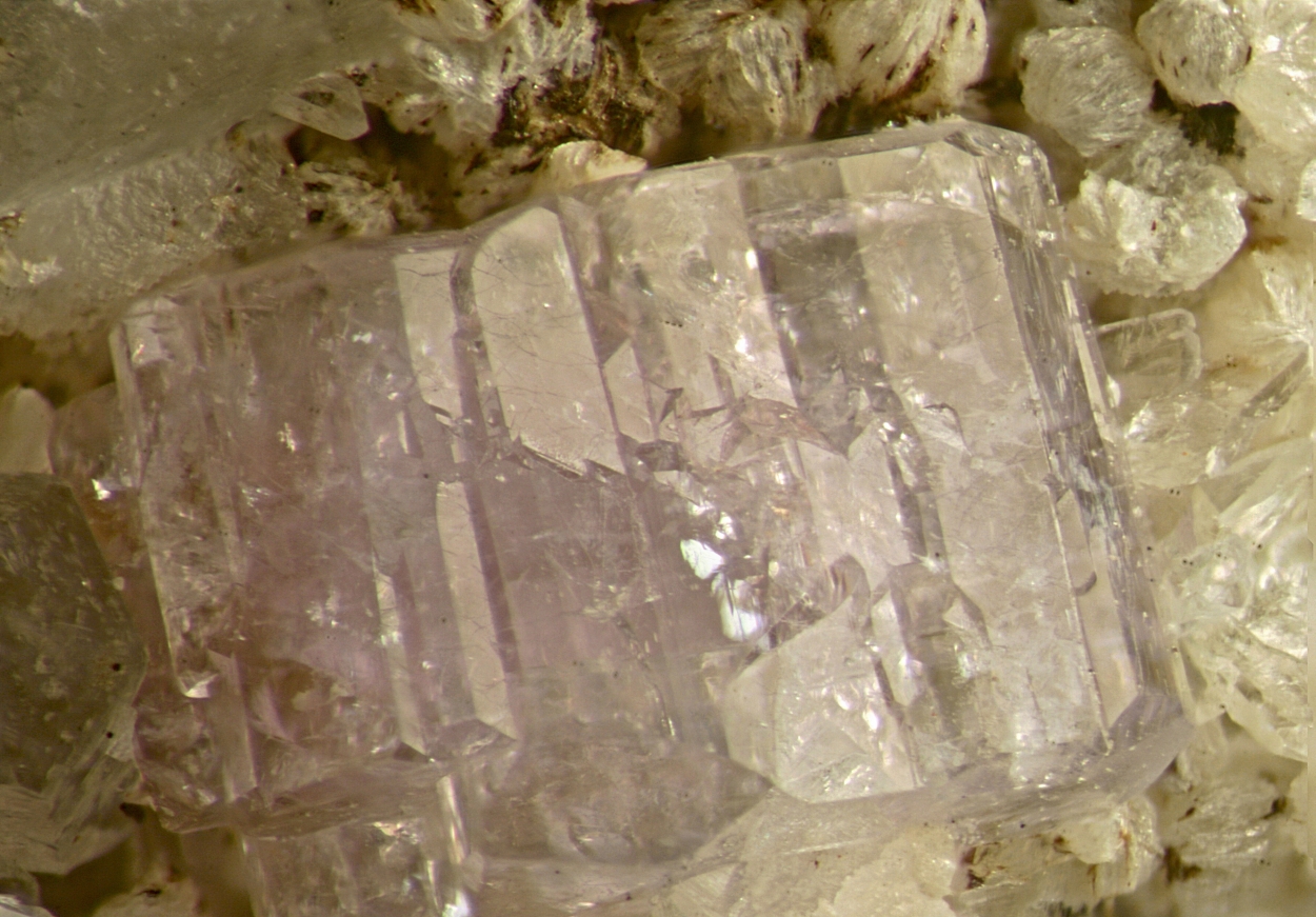 Fluorapatite