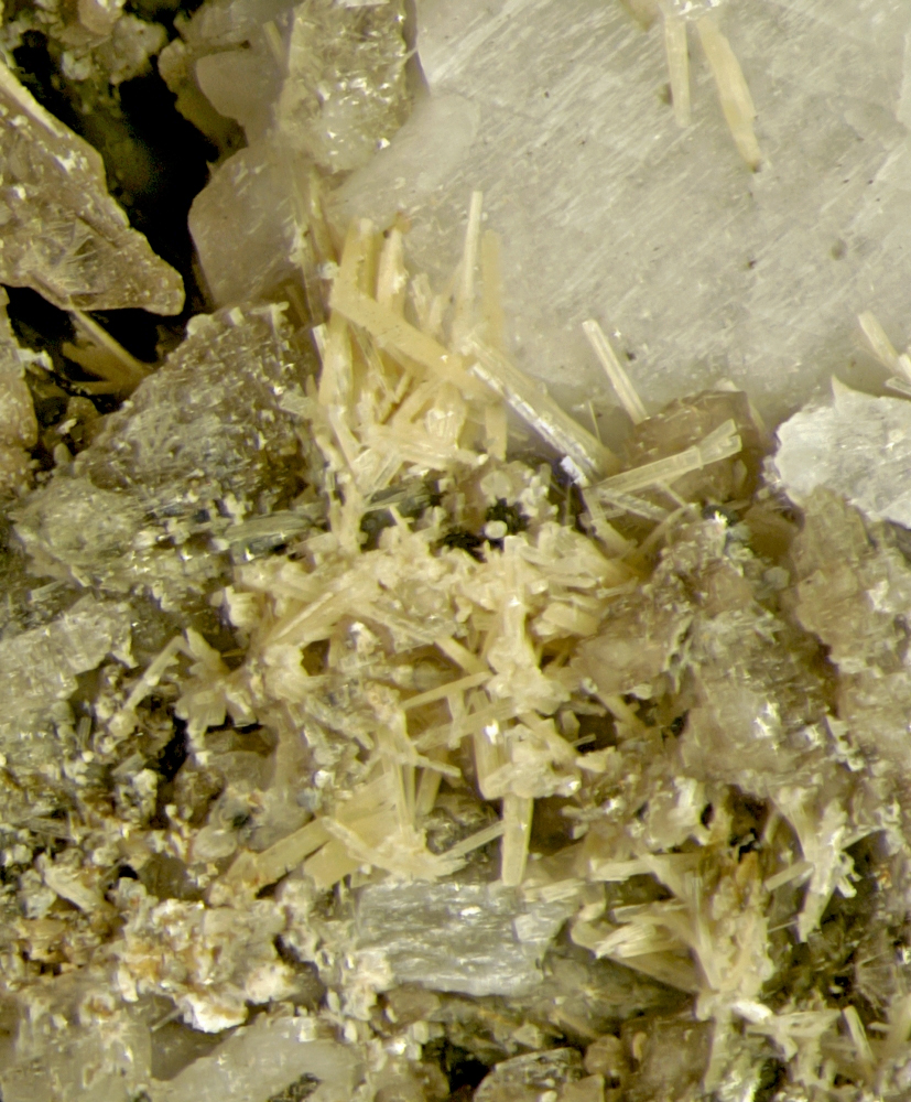 Nenadkevichite