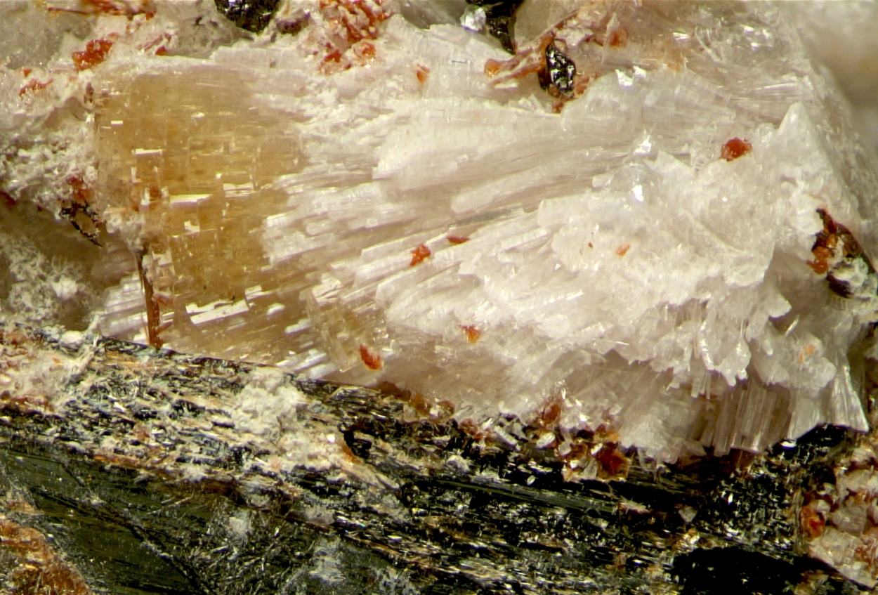 Thomasclarkite-(Y) & Adamsite-(Y)