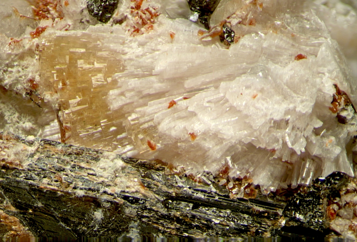 Thomasclarkite-(Y) & Adamsite-(Y)
