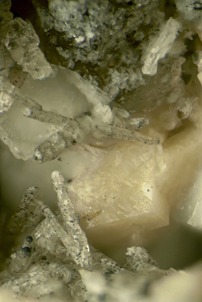 Adamsite-(Y) Psm Shomiokite-(Y) With Bastnäsite Eudidymite Epididymite & Chabazite-Na On Parisite-(Ce) With Donnayite-(Y) & Synchysite-(Ce)
