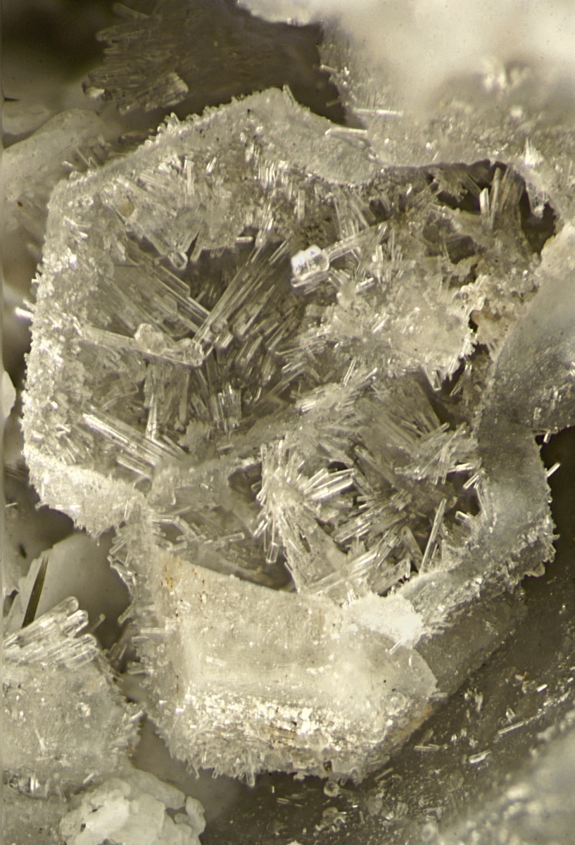 Natrolite Psm Sodalite With Lorenzenite