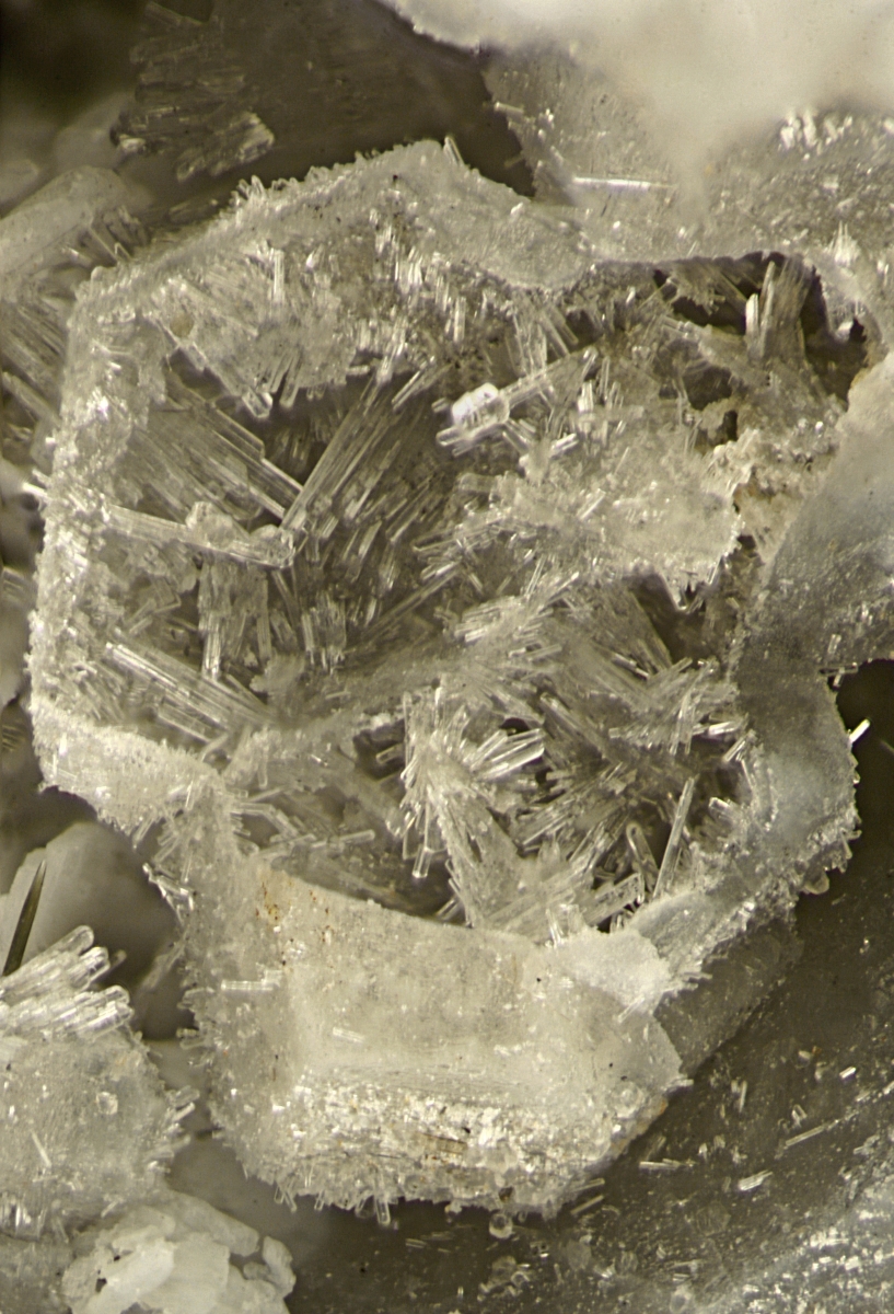 Natrolite Psm Sodalite With Lorenzenite