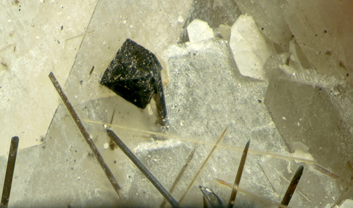 Catapleiite With Pyrochlore Group & Epistolite
